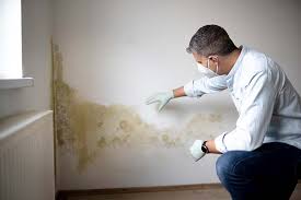 Reliable Allen, TX Mold Inspection Solutions